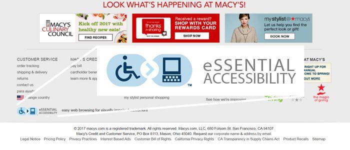 Website Accessibility Options