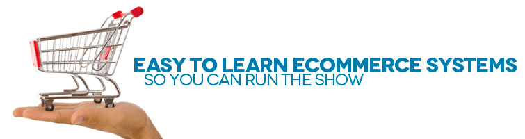 Ecommerce Development in Arizona Ecommerce Development in Arizona