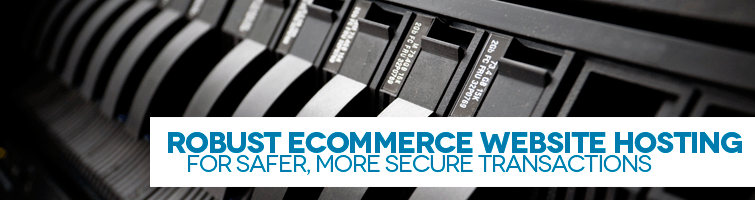 Arizona Professional E-Commerce Website Hosting Arizona Professional E-Commerce Website Hosting