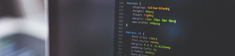 Developing a Magento Web Site