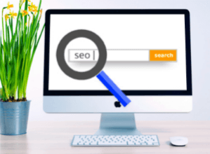SEO and Domain Name
