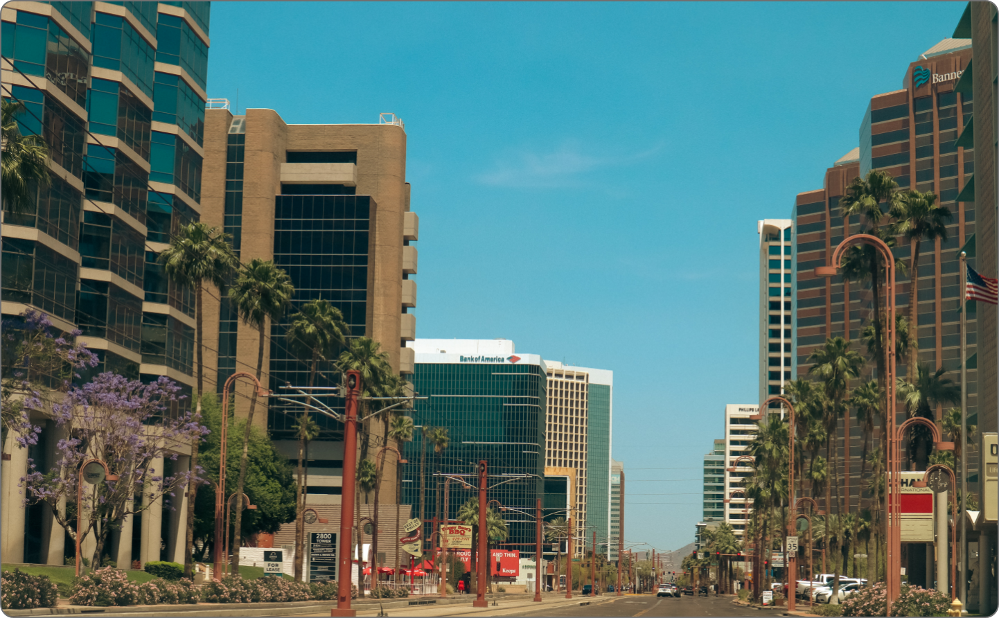 SEO Services in Arizona