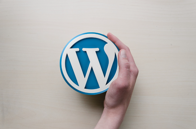 Building an Ecommerce Website with WordPress 2 Hand holding WordPress logo